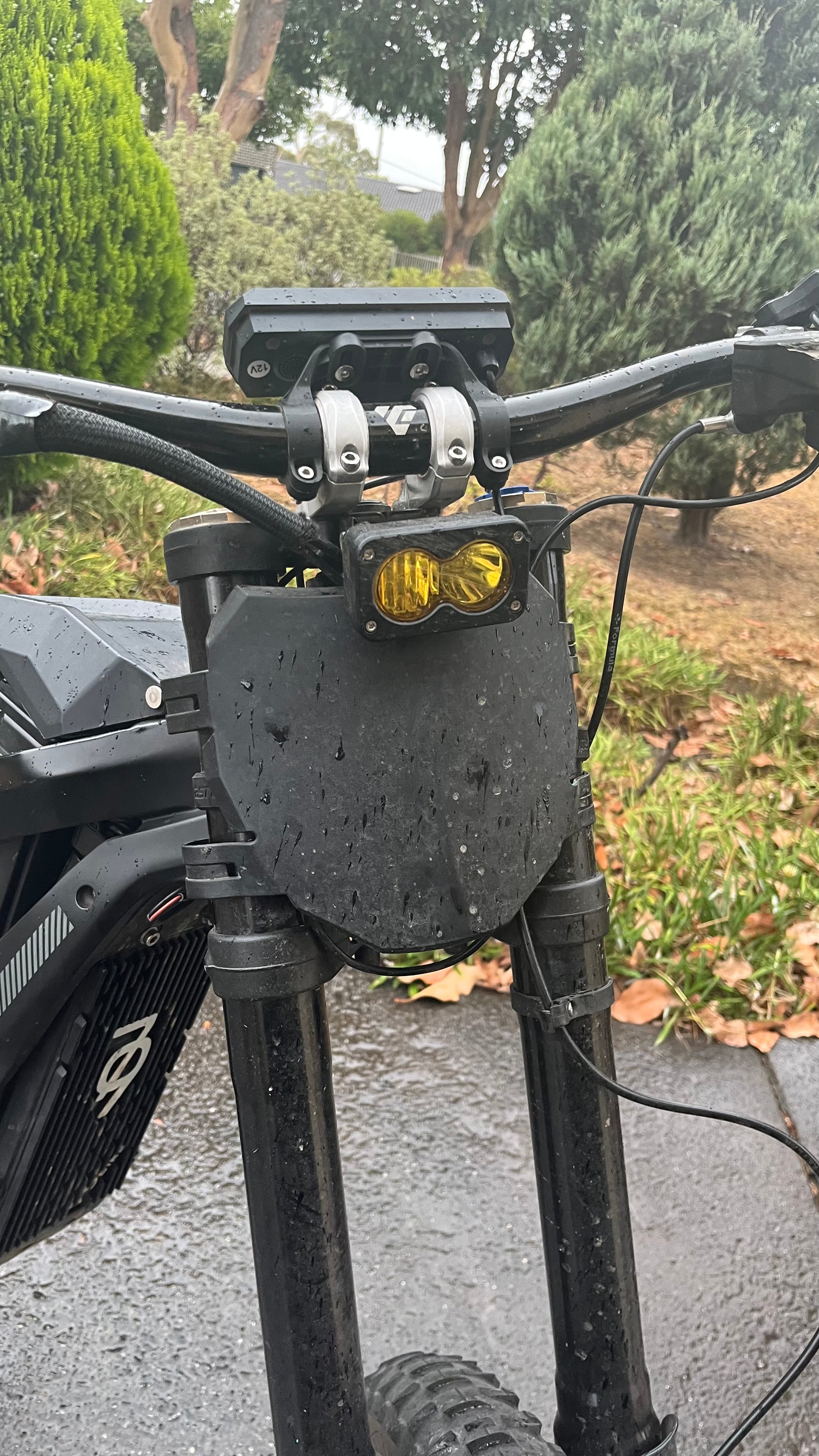 Light Bee/79 Baja Light (tint available)