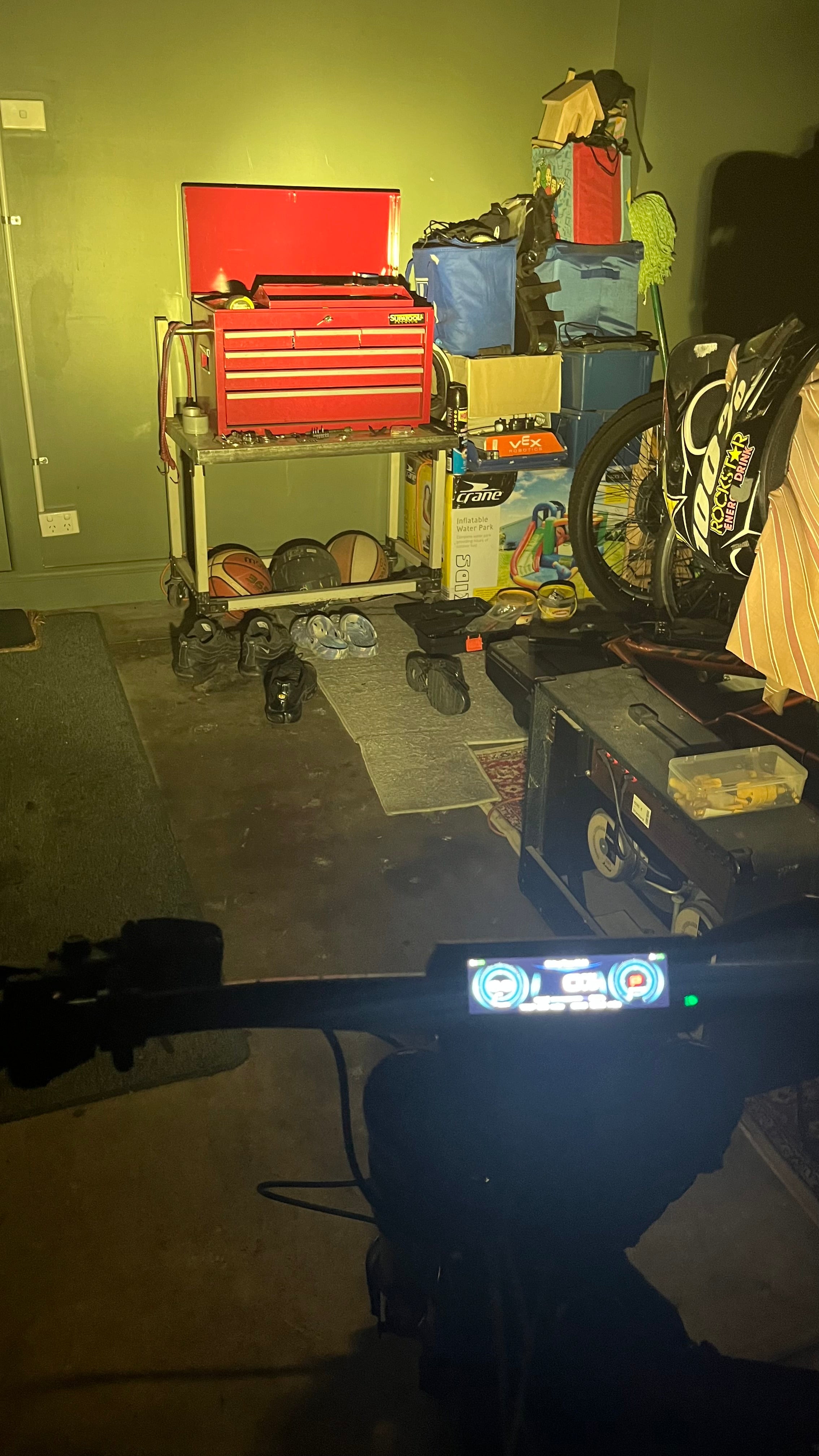 Light Bee/79 Baja Light (tint available)