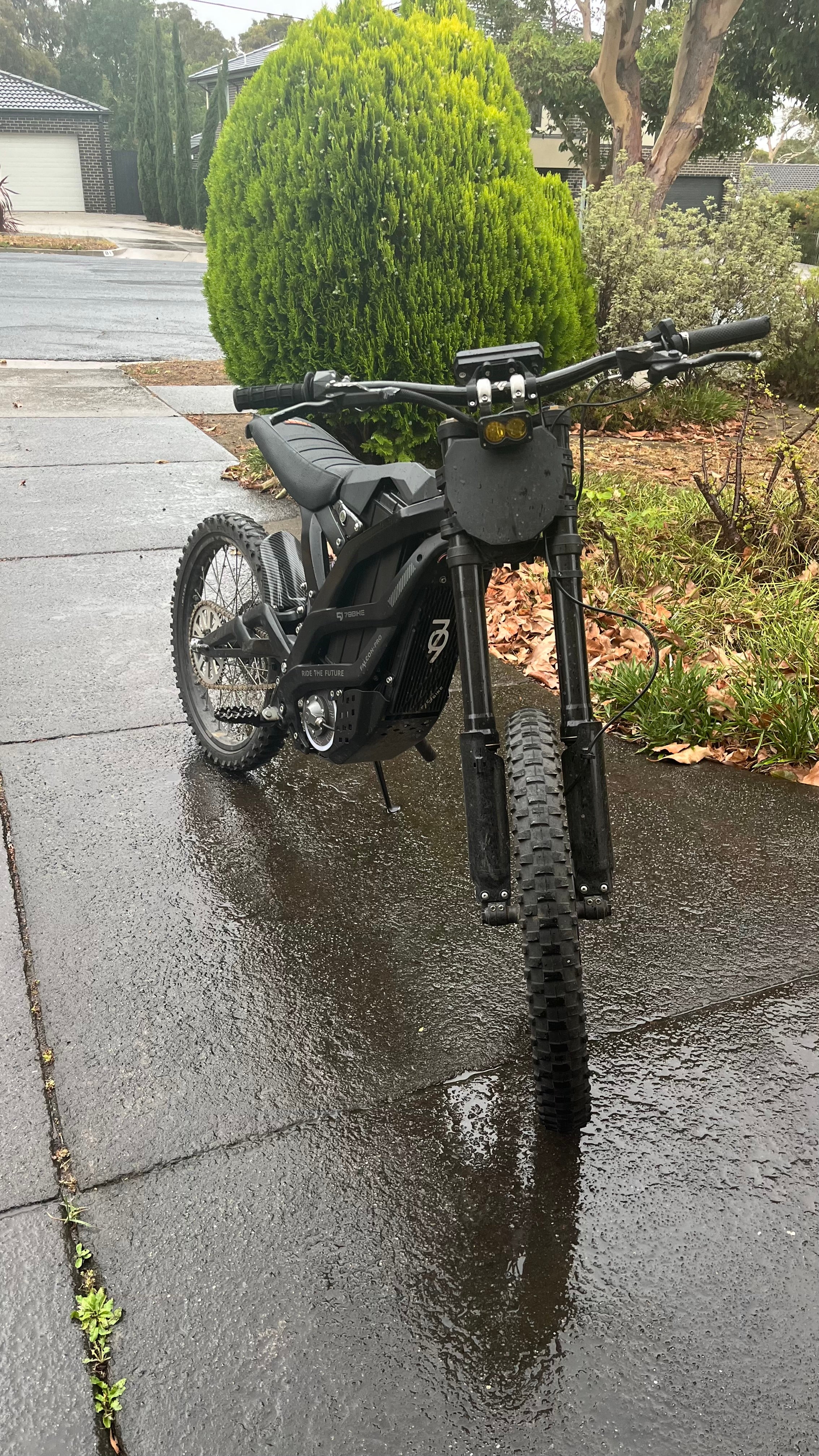 Light Bee/79 Baja Light (tint available)